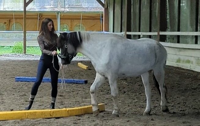 Pferdetrainerin für feine Kommunikation mit dem Pferd